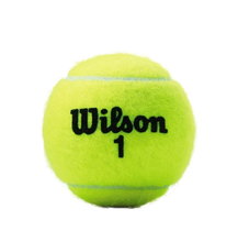 Wilson Tennisbälle Championship Dose 24x 3er im Karton